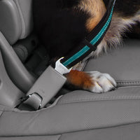 Attache pivotante directe pour ceinture de sécurité