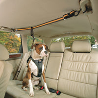 Tyrolienne pour voiture