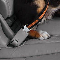 Attache pivotante directe pour ceinture de sécurité