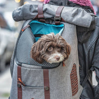 Sac à Dos pour Chien