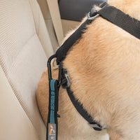 Attache directe pour ceinture de sécurité