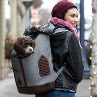 Sac à Dos pour Chien