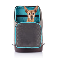 Sac à Dos pour Chien