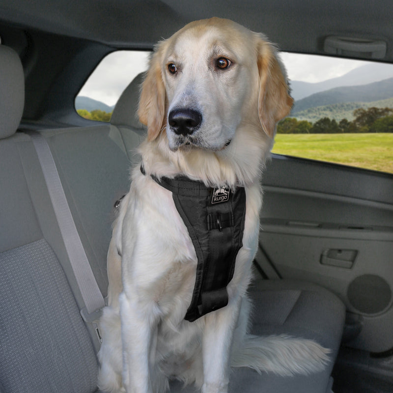 Harnais De Sécurité Kurgo RSG Townie Pour Chien - Taille L (61-86 Cm), Noir, Compatible MOLLE, Poignée De Contrôle