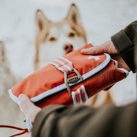 Kit de premiers secours pour chien