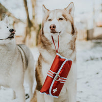 Kit de premiers secours pour chien