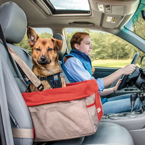 Colarlemo Siège d'auto pour chien à console centrale, sièges d'auto pour  petits chiens de 0 à 6,8 kg, siège de voiture portable pour animal de  compagnie, siège rehausseur pour chien avec attaches