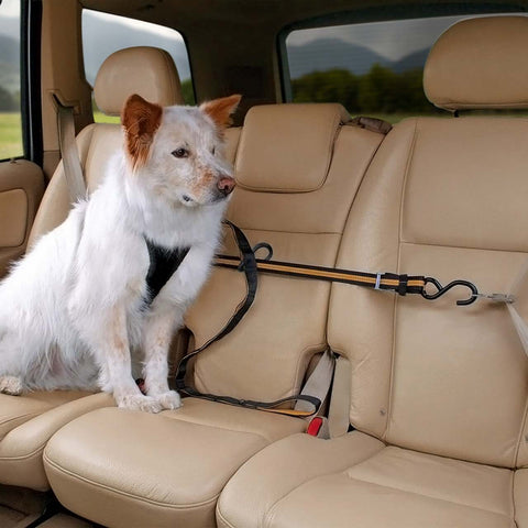 Knaak Ceinture de sécurité pour chien - Ceinture pour chien pour la voiture  - Ceinture