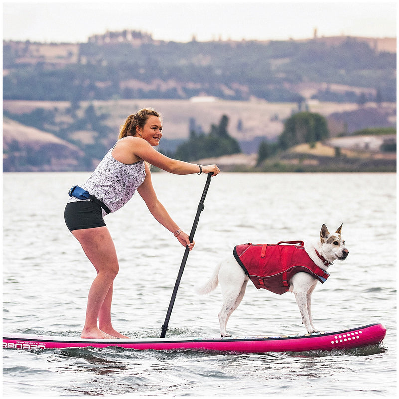 gilet sauvetage chien paddle