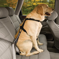 Boucle de ceinture de sécurité pour chien