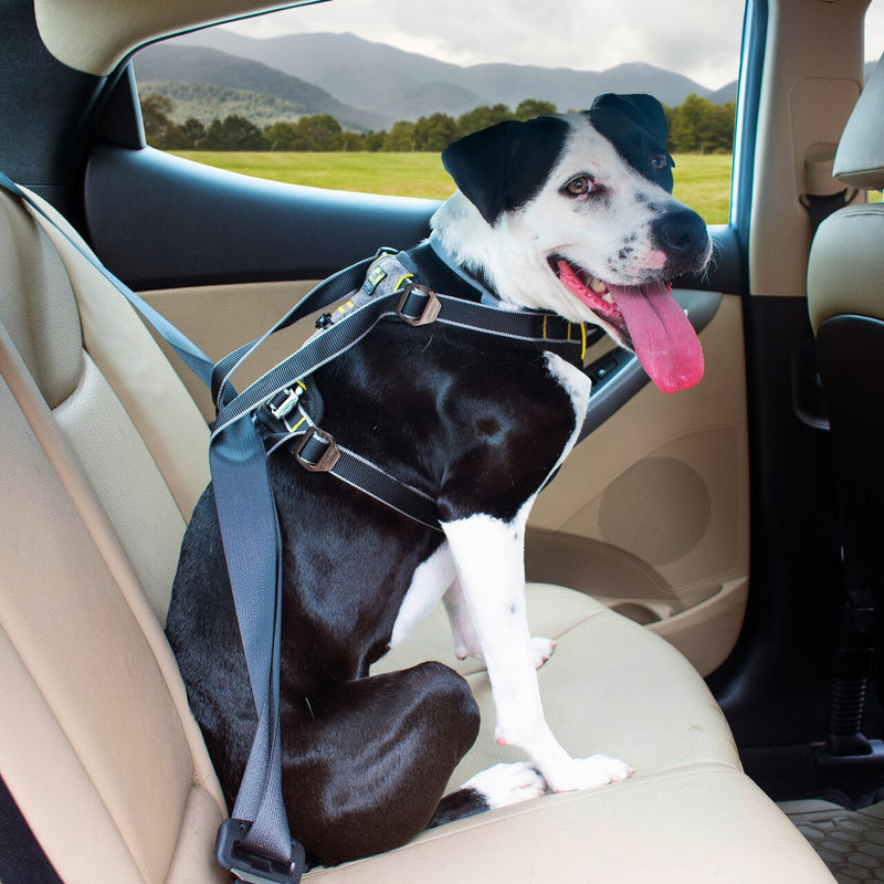 Harnais de sécurité pour chien voiture et marche Tru-Fit Smart KURGO taille  S - Feu Vert