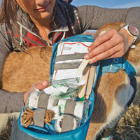 Kit de premiers secours RSG pour chien